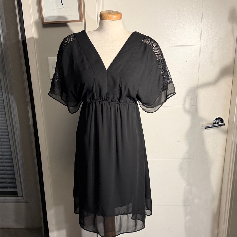 Stylish Black Dress with Sheer Sleeves